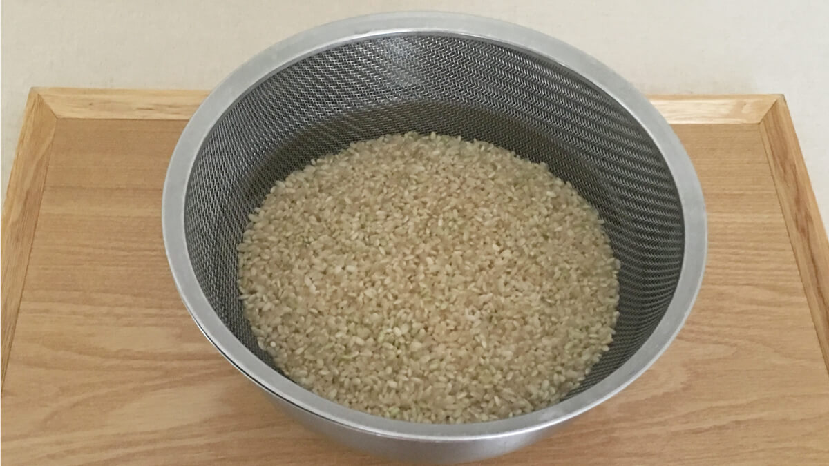 玄米を発芽させるために、水につけているところ