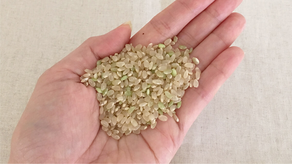 手に持った玄米