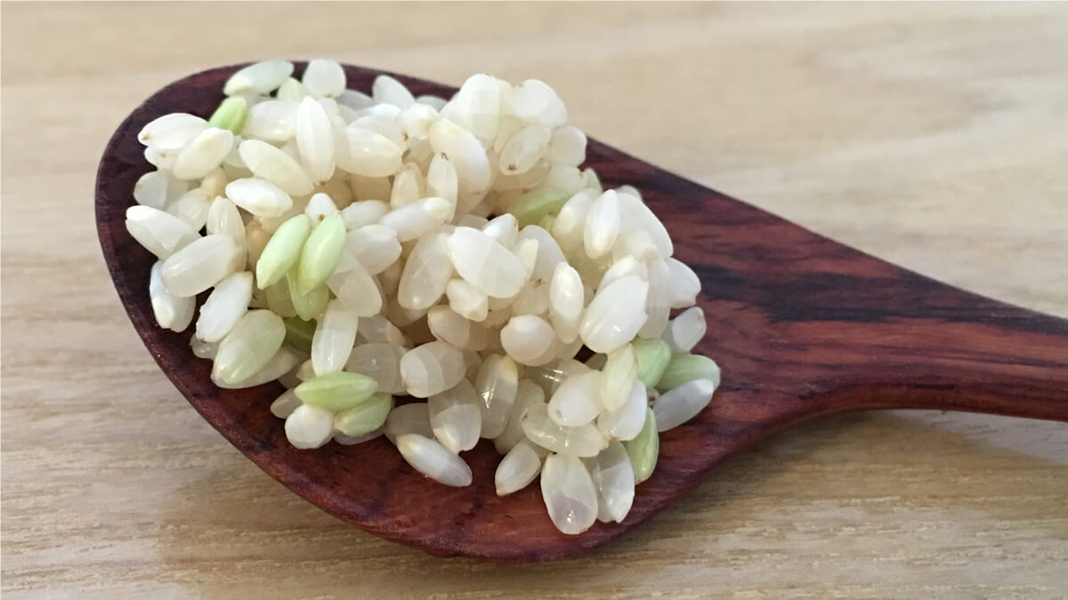 約4.5時間水につけたの玄米