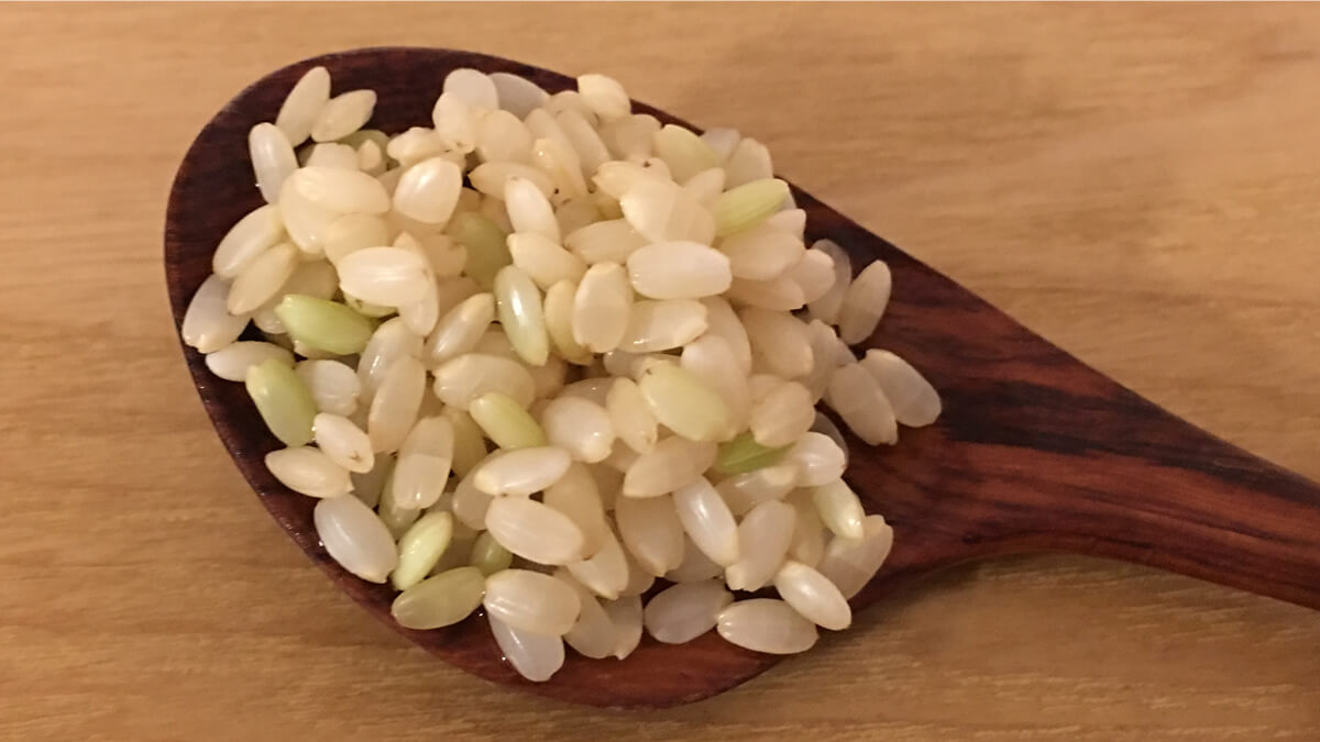 約8時間水につけたの玄米