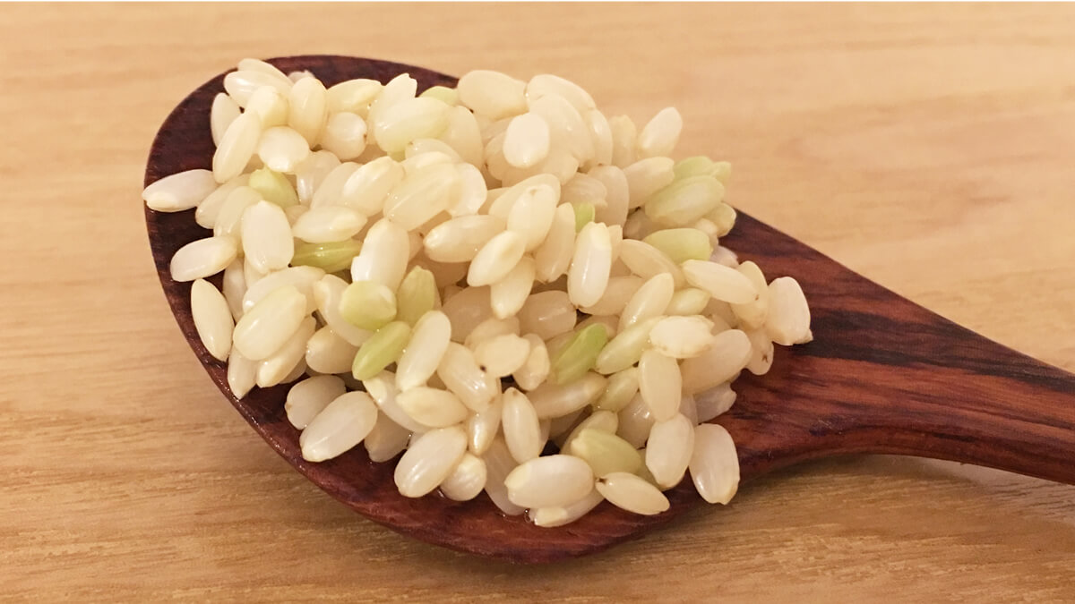 約12時間、浸水させた玄米