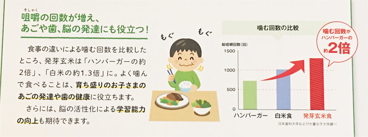 発芽玄米食にすると、噛む回数が増える