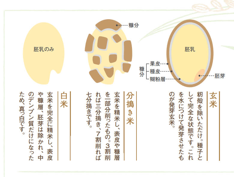 玄米と白米と分づき米