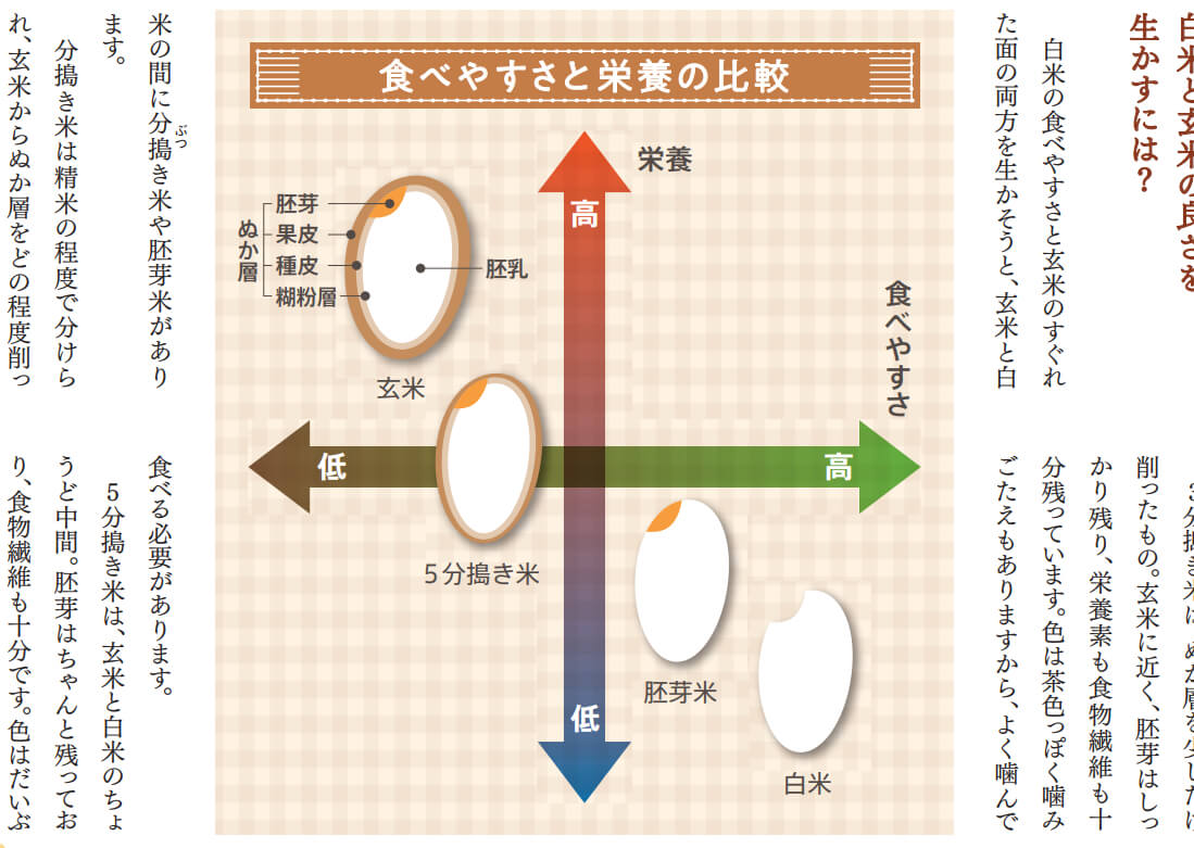 玄米、分づき米、胚芽米、白米の栄養価と食べやすさ