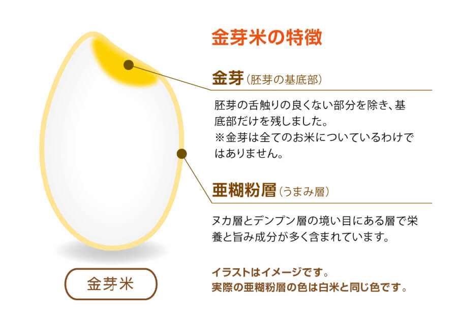 金芽米とは？