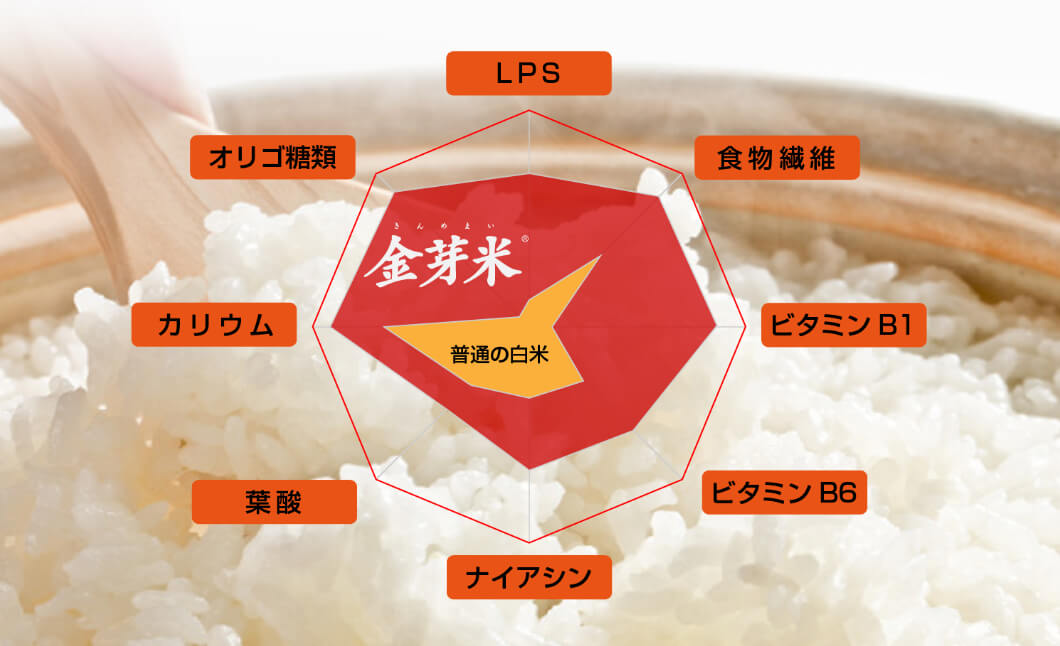 金芽米と白米と玄米の栄養価