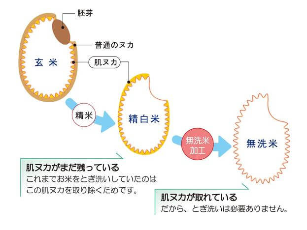 無洗米とは？