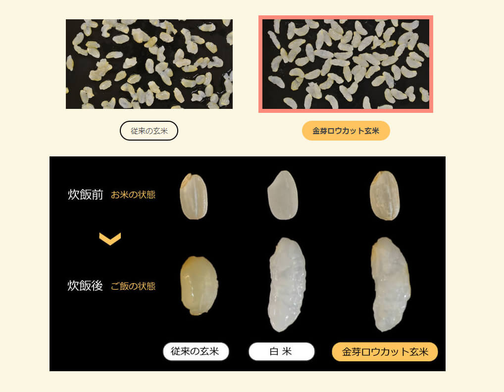 玄米、白米、ロウカット玄米の炊き上がりの比較