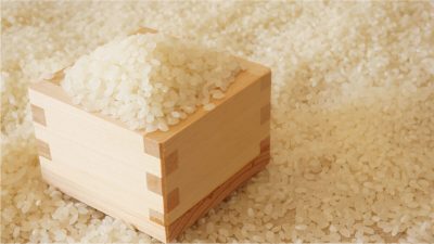 胚芽米のイメージ